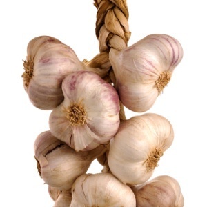 garlic