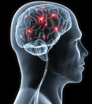 CNS smaller